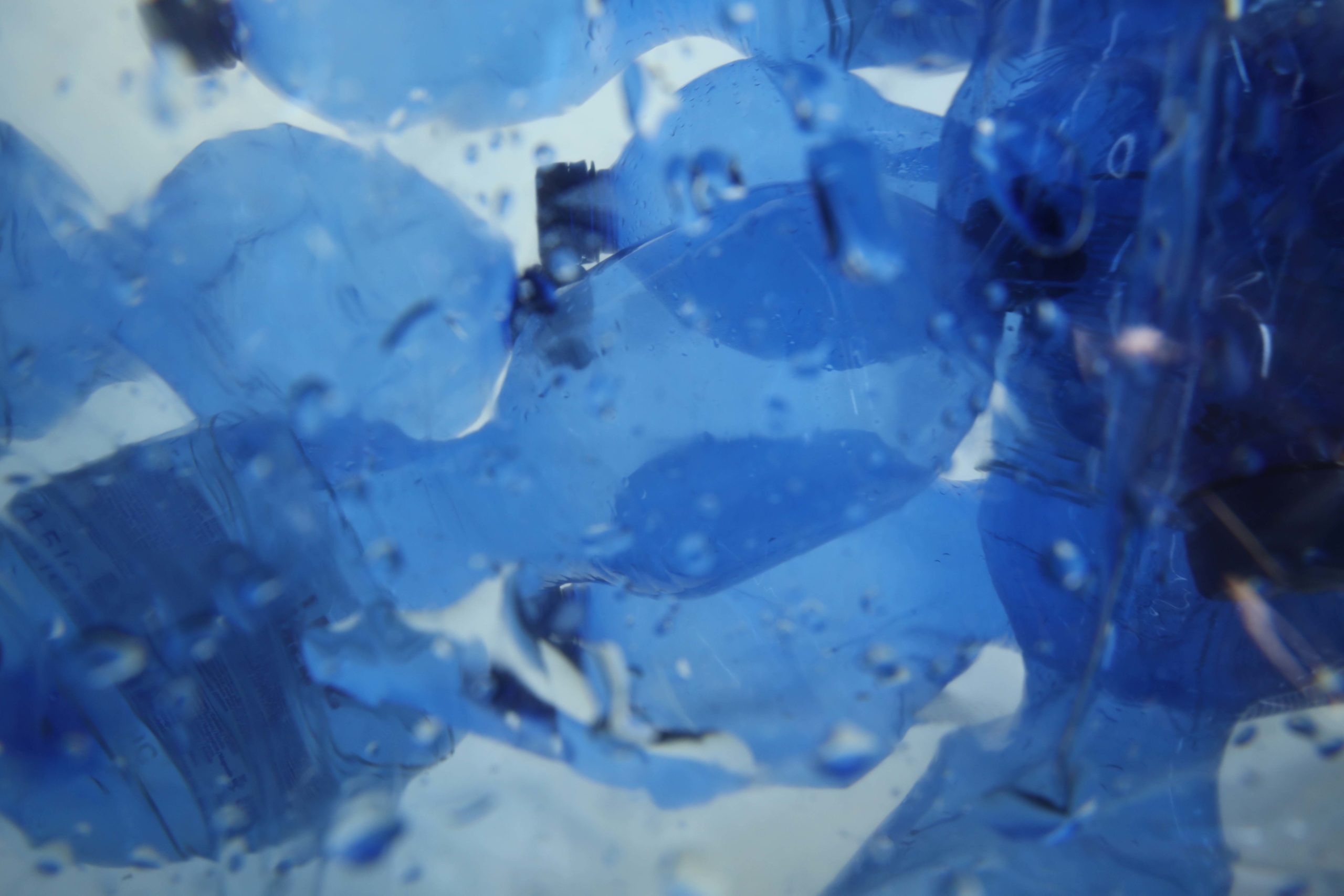 Still_life_07